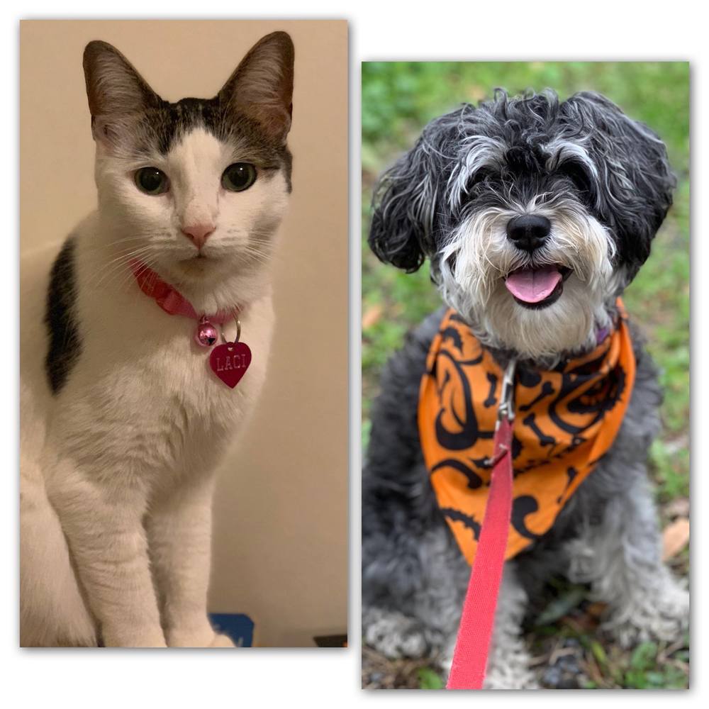 Meet your Posher, Andrea